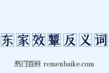 东家效颦反义词是什么意思的图片